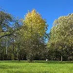 Jelenica 4 Os 70m2