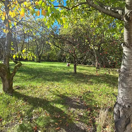 Jelenica 4 Os 70m2 Appartement Ustron