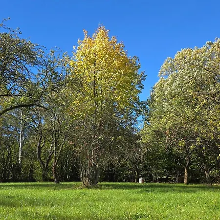 Jelenica 4 Os 70m2